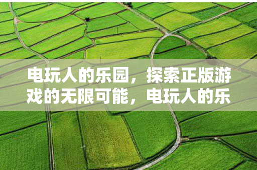电玩人的乐园,探索正版游戏的无限可能,电玩人的乐园,探索正版游戏的无限可能 电玩人的乐园,探索正版游戏的无限可能,电玩人的乐园,探索正版游戏的无限可能