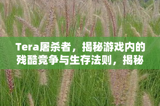 Tera屠杀者,揭秘游戏内的残酷竞争与生存法则,揭秘Tera游戏内的残酷竞争与生存法则 Tera屠杀者,揭秘游戏内的残酷竞争与生存法则,揭秘Tera游戏内的残酷竞争与生存法则
