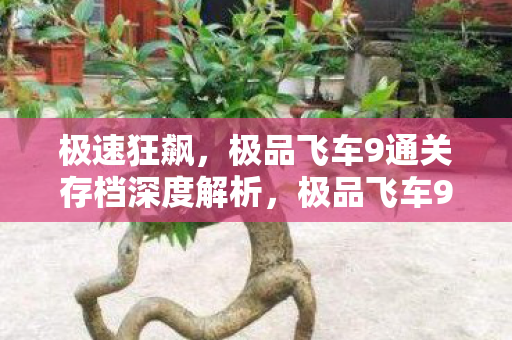 极品飞车9通关存档深度解析图片