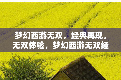 梦幻西游无双经典再现图片