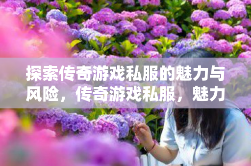 探索传奇游戏私服的魅力与风险图片