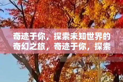 探索未知世界的奇幻之旅图片