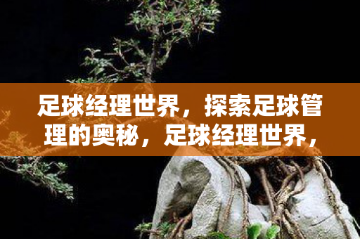 揭秘足球管理的奥秘与挑战图片