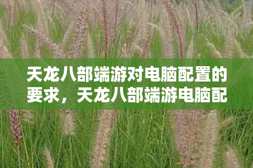 天龙八部端游对电脑配置的要求,天龙八部端游电脑配置要求揭秘 天龙八部端游对电脑配置的要求,天龙八部端游电脑配置要求揭秘