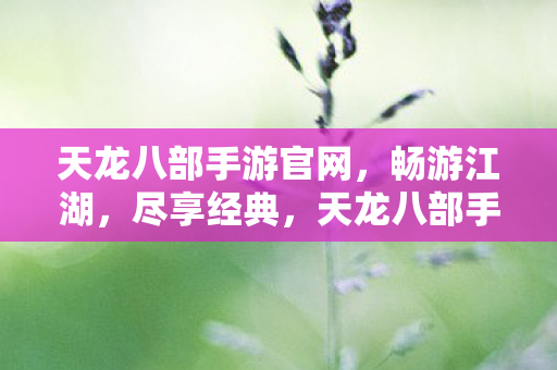 天龙八部手游官网图片
