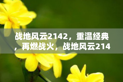 战地风云2142经典再现图片