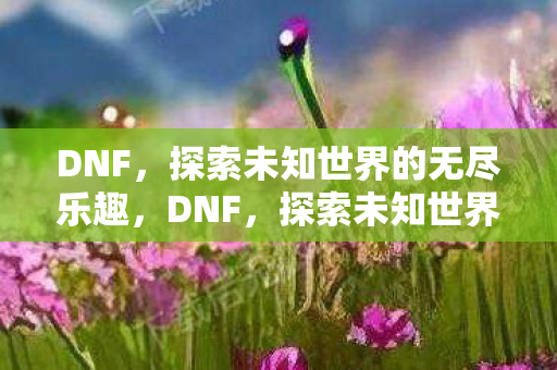 探索未知世界的无尽冒险之旅图片
