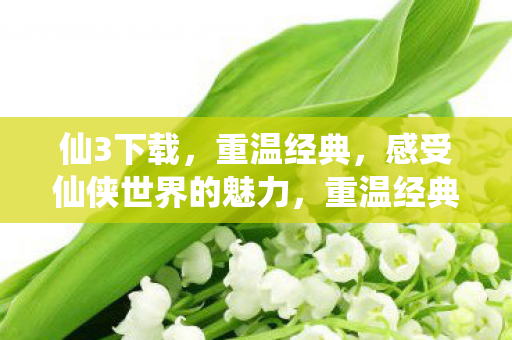 仙3下载,重温经典,感受仙侠世界的魅力,重温经典仙侠之旅,仙3下载 仙3下载,重温经典,感受仙侠世界的魅力,重温经典仙侠之旅,仙3下载