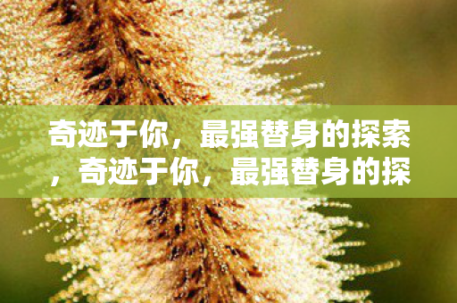 奇迹于你,最强替身的探索,奇迹于你,最强替身的探索之旅 奇迹于你,最强替身的探索,奇迹于你,最强替身的探索之旅