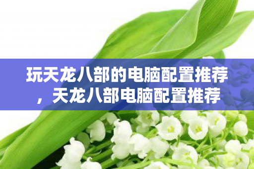 玩天龙八部的电脑配置推荐，天龙八部电脑配置推荐