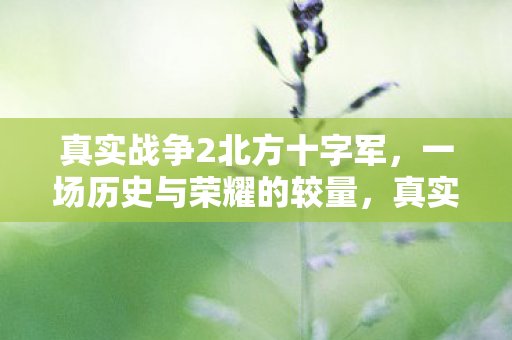真实战争2北方十字军,一场历史与荣耀的较量,真实战争2,北方十字军,历史与荣耀的较量 真实战争2北方十字军,一场历史与荣耀的较量,真实战争2,北方十字军,历史与荣耀的较量