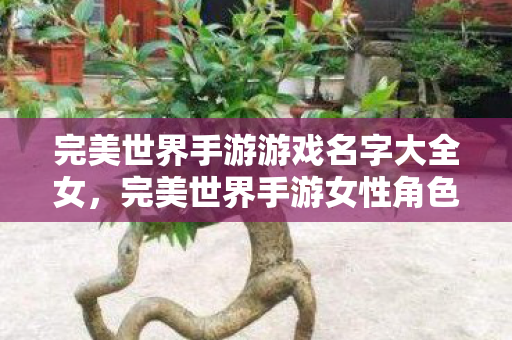 完美世界手游女性角色名字精选图片