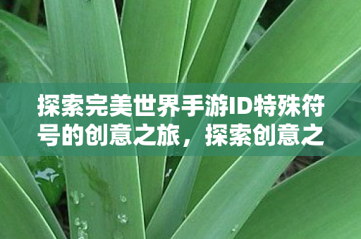 探索完美世界手游ID特殊符号的创意之旅,探索创意之旅,在完美世界手游中嵌入特殊符号的ID 探索完美世界手游ID特殊符号的创意之旅,探索创意之旅,在完美世界手游中嵌入特殊符号的ID