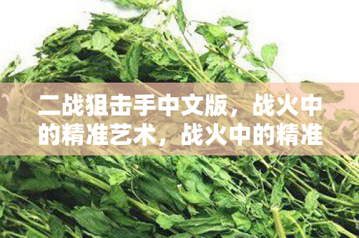 二战狙击手中文版图片