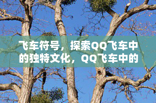 飞车符号,探索QQ飞车中的独特文化,QQ飞车中的独特文化,飞车符号的探索 飞车符号,探索QQ飞车中的独特文化,QQ飞车中的独特文化,飞车符号的探索