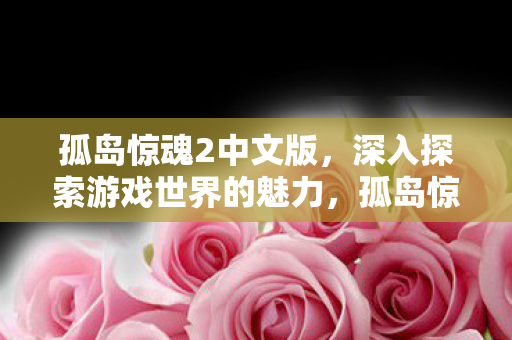 深入探索游戏世界的魅力图片