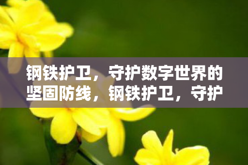 钢铁护卫,守护数字世界的坚固防线,钢铁护卫,守护数字世界的坚固防线 钢铁护卫,守护数字世界的坚固防线,钢铁护卫,守护数字世界的坚固防线