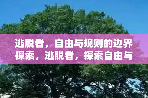 逃脱者,自由与规则的边界探索,逃脱者,探索自由与规则的边界 逃脱者,自由与规则的边界探索,逃脱者,探索自由与规则的边界