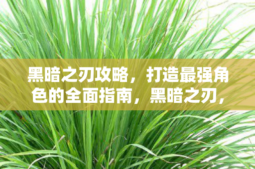 打造最强角色的全面指南图片