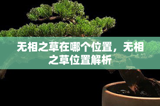 无相之草在哪个位置图片