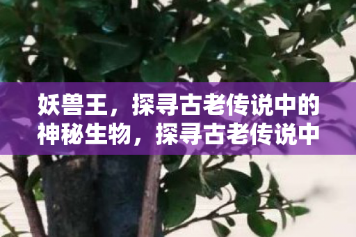 探寻古老传说中的神秘生物图片