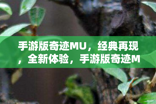 手游版奇迹MU图片