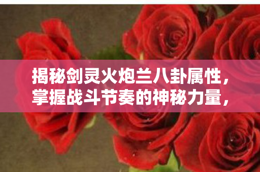 揭秘剑灵火炮兰八卦属性图片