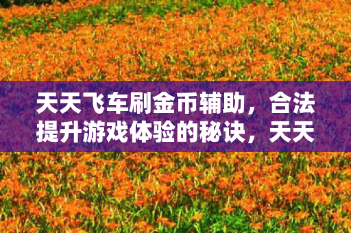 合法提升游戏体验的秘诀图片