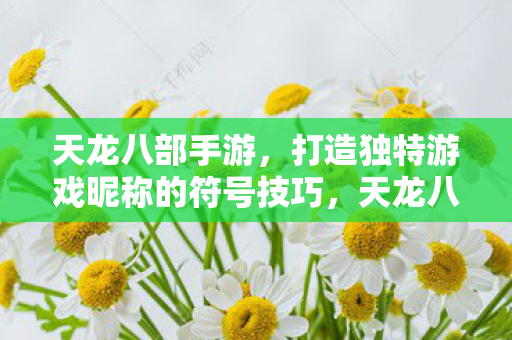 天龙八部手游打造独特游戏昵称的符号技巧图片