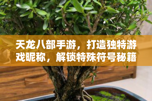天龙八部手游昵称特殊符号秘籍图片