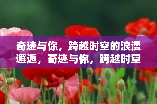 跨越时空的浪漫邂逅图片