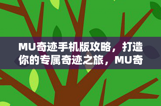 打造你的专属奇迹之旅图片