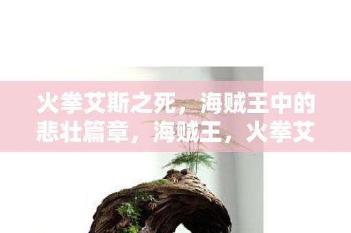 海贼王中的悲壮篇章图片