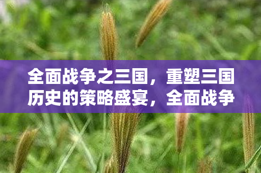 三国重塑三国历史 策略盛宴震撼来袭图片