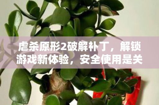 安全使用虐杀原形2破解补丁图片