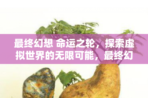 最终幻想 命运之轮,探索虚拟世界的无限可能,最终幻想 命运之轮,探索虚拟世界的无限可能 最终幻想 命运之轮,探索虚拟世界的无限可能,最终幻想 命运之轮,探索虚拟世界的无限可能