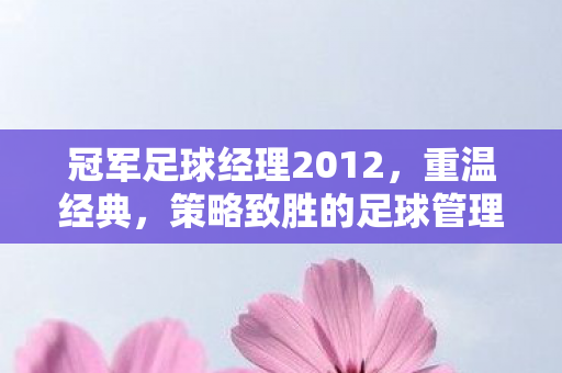 策略致胜的足球管理之旅图片