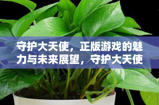 守护大天使,正版游戏的魅力与未来展望,守护大天使正版游戏,魅力展现与未来展望 守护大天使,正版游戏的魅力与未来展望,守护大天使正版游戏,魅力展现与未来展望