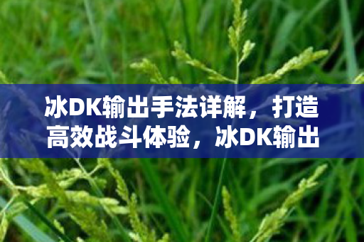 冰DK输出手法全解析图片