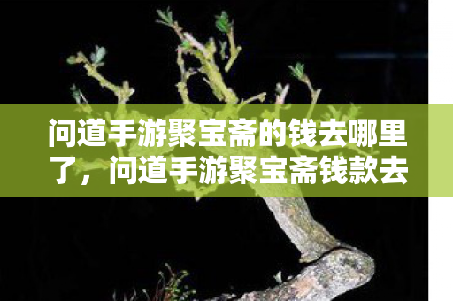 问道手游聚宝斋的钱去哪里了,问道手游聚宝斋钱款去向揭秘 问道手游聚宝斋的钱去哪里了,问道手游聚宝斋钱款去向揭秘