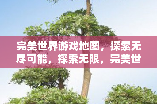 完美世界游戏地图,探索无尽可能,探索无限,完美世界游戏地图 完美世界游戏地图,探索无尽可能,探索无限,完美世界游戏地图