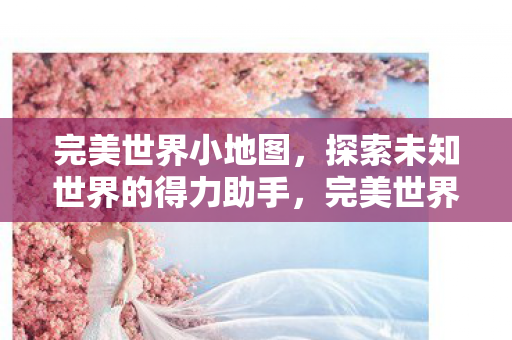 完美世界小地图,探索未知世界的得力助手,完美世界小地图,解锁探索未知世界的便捷钥匙 完美世界小地图,探索未知世界的得力助手,完美世界小地图,解锁探索未知世界的便捷钥匙