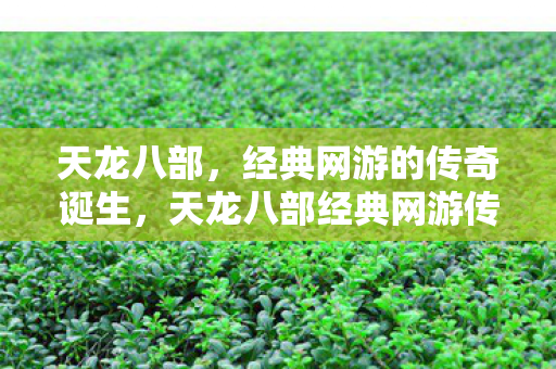天龙八部经典网游传奇诞生图片