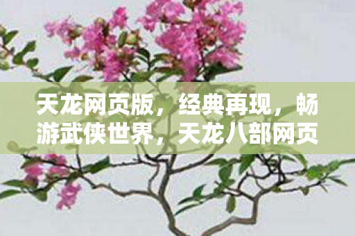 天龙八部网页版图片