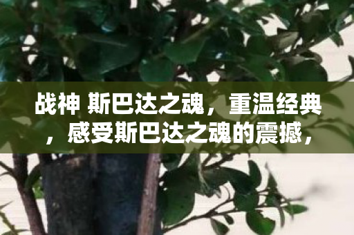 斯巴达之魂震撼再现斯巴达之魂图片