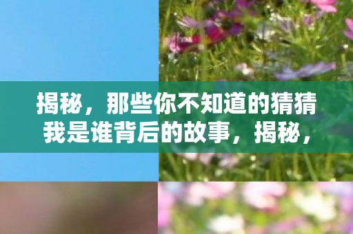 那些你不知道的猜猜我是谁背后的故事图片