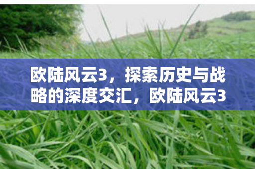 欧陆风云3,探索历史与战略的深度交汇,欧陆风云3,历史与战略的深度交汇探索 欧陆风云3,探索历史与战略的深度交汇,欧陆风云3,历史与战略的深度交汇探索