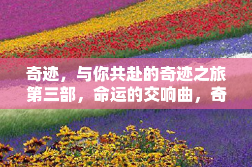 奇迹，与你共赴的奇迹之旅第三部，命运的交响曲，奇迹之旅第三部，命运的交响曲