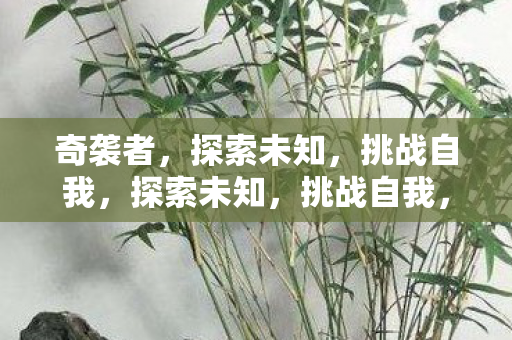 奇袭者的冒险之旅图片