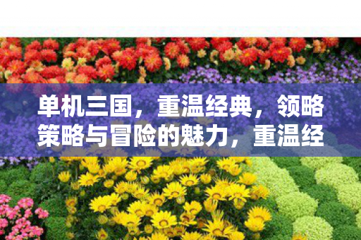 单机三国,重温经典,领略策略与冒险的魅力,重温经典单机三国,领略策略与冒险的无限魅力 单机三国,重温经典,领略策略与冒险的魅力,重温经典单机三国,领略策略与冒险的无限魅力